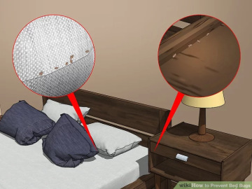 Mezi další typické úkryty štěnice patří mimo jiné povlečení. Štěnice se dokonce mohou schovávat v různých záhybech látky.